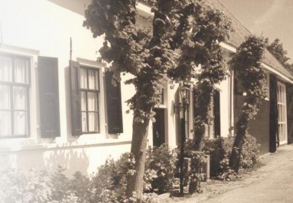 Dorc's history